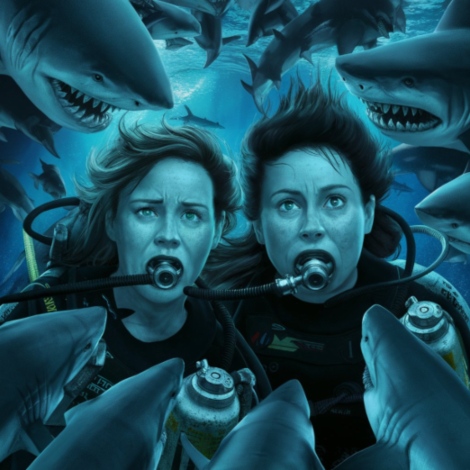 47 meters down franchise concept photo