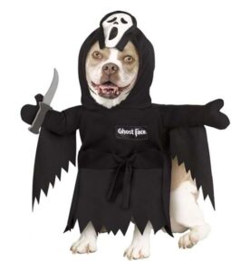 Ghostface costume for dogs - version 2