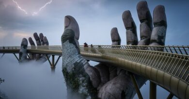 Golden Bridge Vietnam Photos (1)