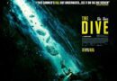 The Dive Poster Wide