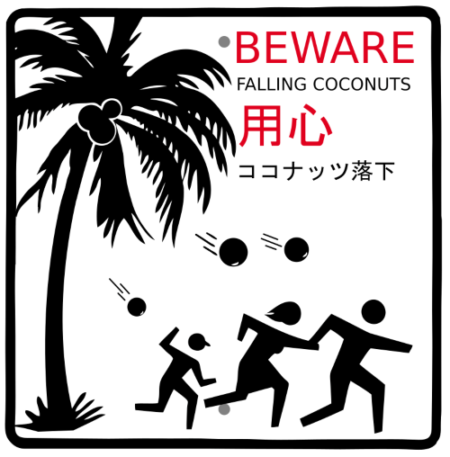 beware of falling coconuts sign in Honolulu